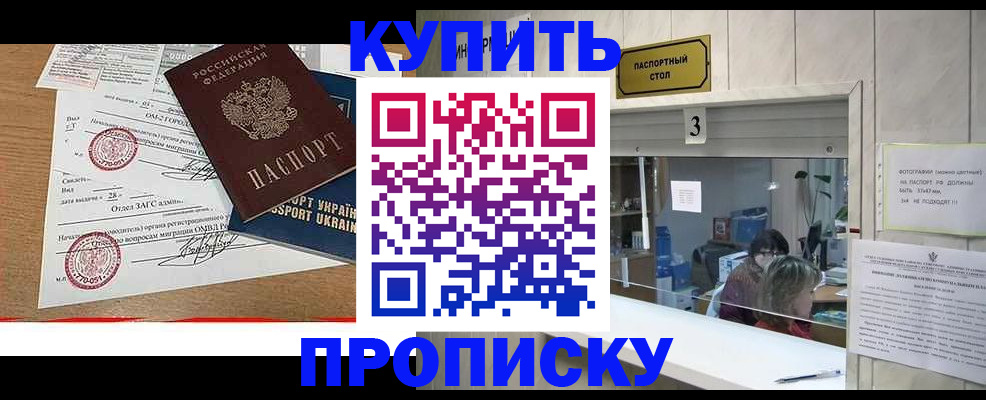 временная регистрация надежно в Коле